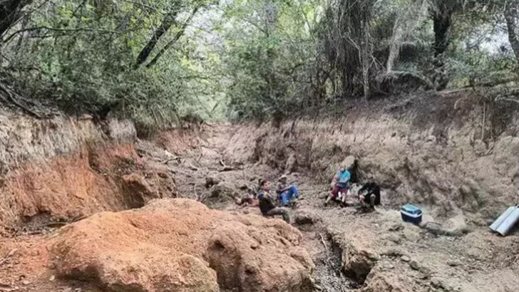 Jardim: MPMS pede plantio de mudas nativas para recuperação do Rio da Prata - CREDITO: CAMPO GRANDE NEWS