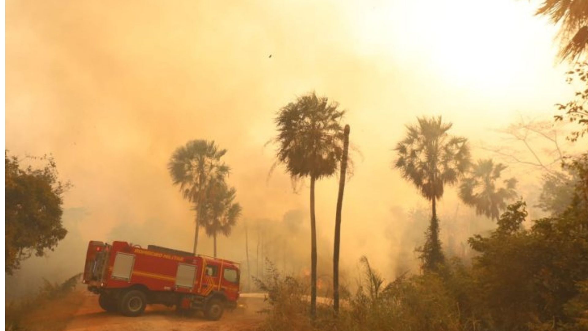 El Ni&ntilde;o eleva risco de fogo no Pantanal, e MS assegura resposta estrat&eacute;gica com bases avan&ccedil;adas, aeronaves e tecnologia