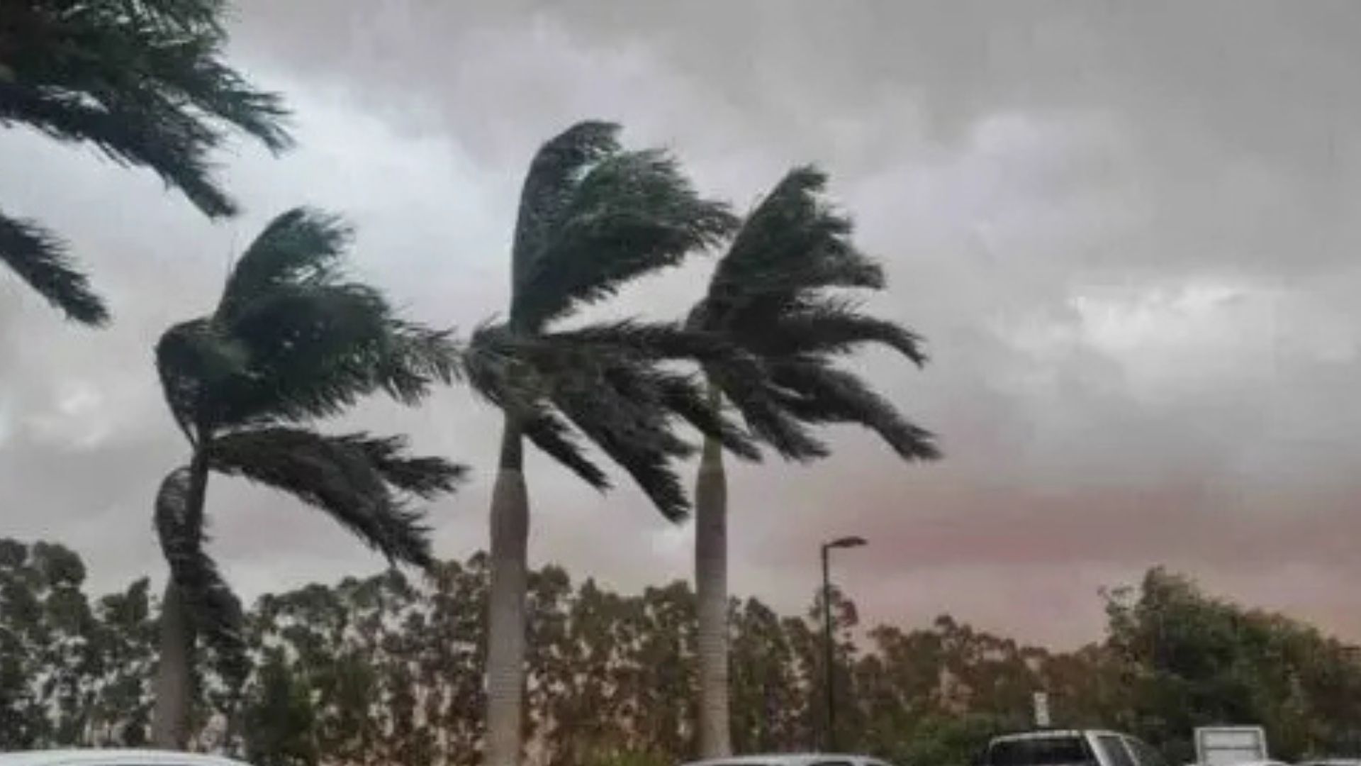 MS est&aacute; sob alerta para ventos intensos; confira como evitar acidentes
