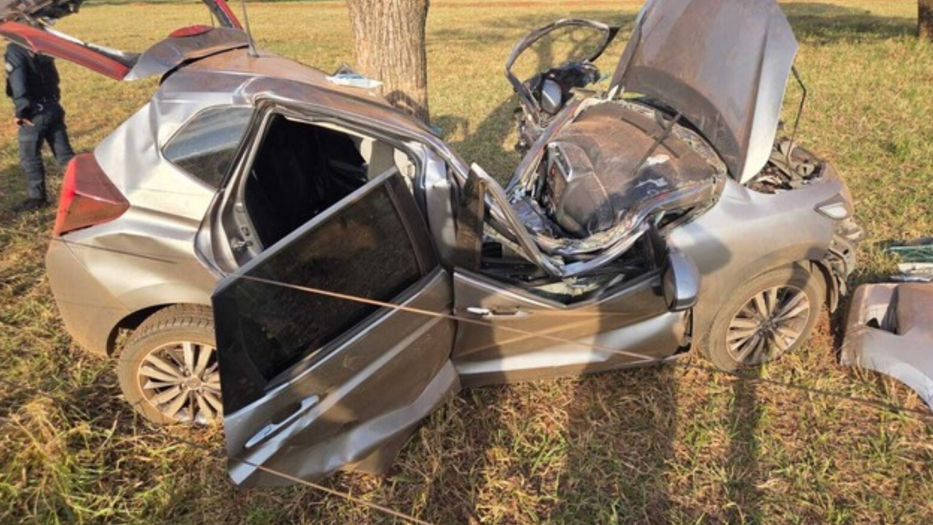 Carro com drogas parte ao meio ap&oacute;s bater em &aacute;rvore durante fuga da PRF